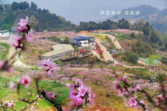 龙泉驿区柏合街道长松村