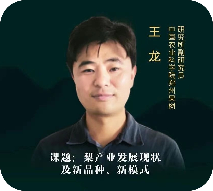 王龙-中国农业科学院研究员