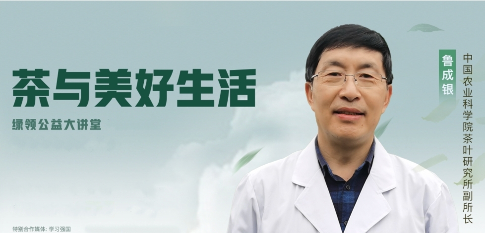 茶与美好生活